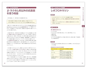 レジデントのための これだけ抗菌薬【電子版付】 | 髙野 哲史